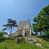 Burg M&ouml;dling, Foto von Terra Over Fly